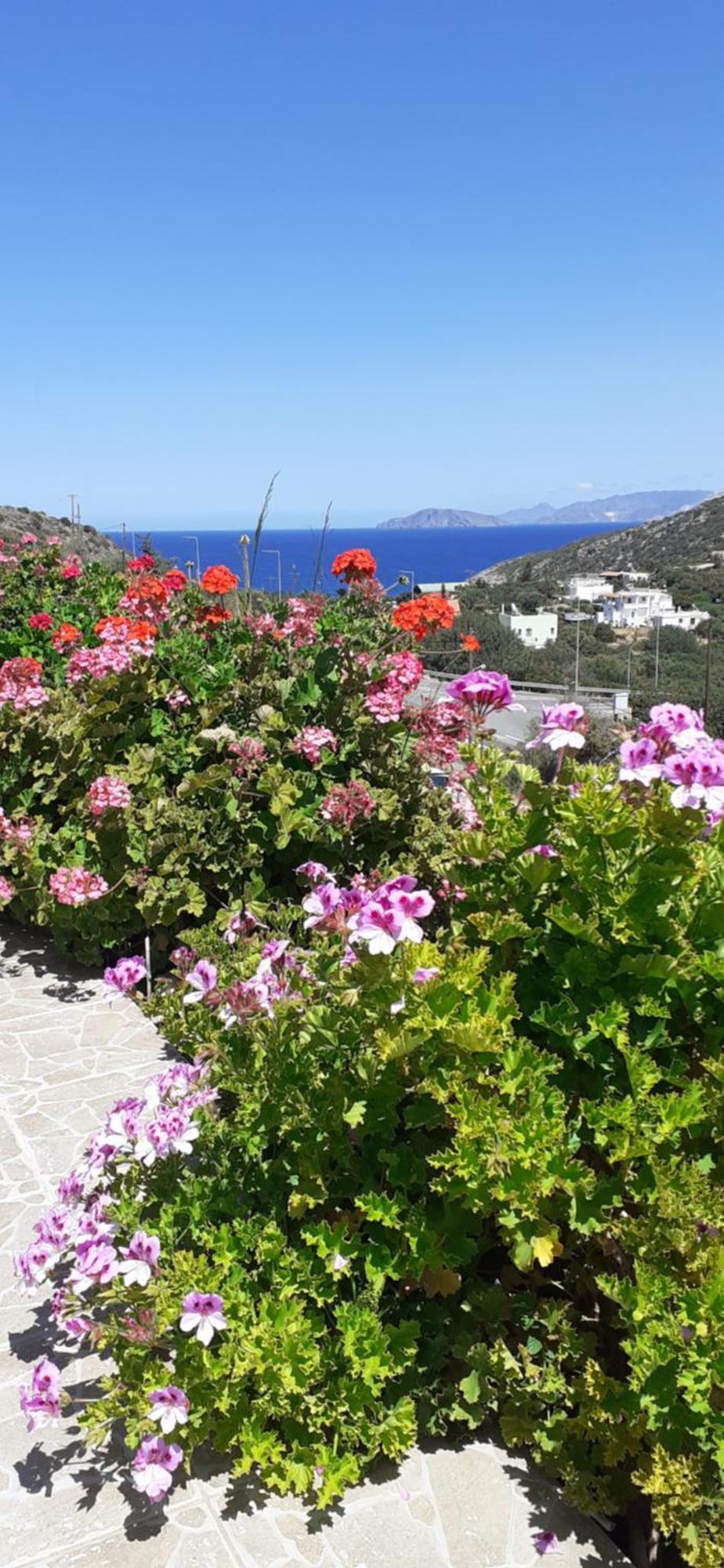 Hari Apartments Vathi, Agios Nikolaos Crete Vathí Exterior foto