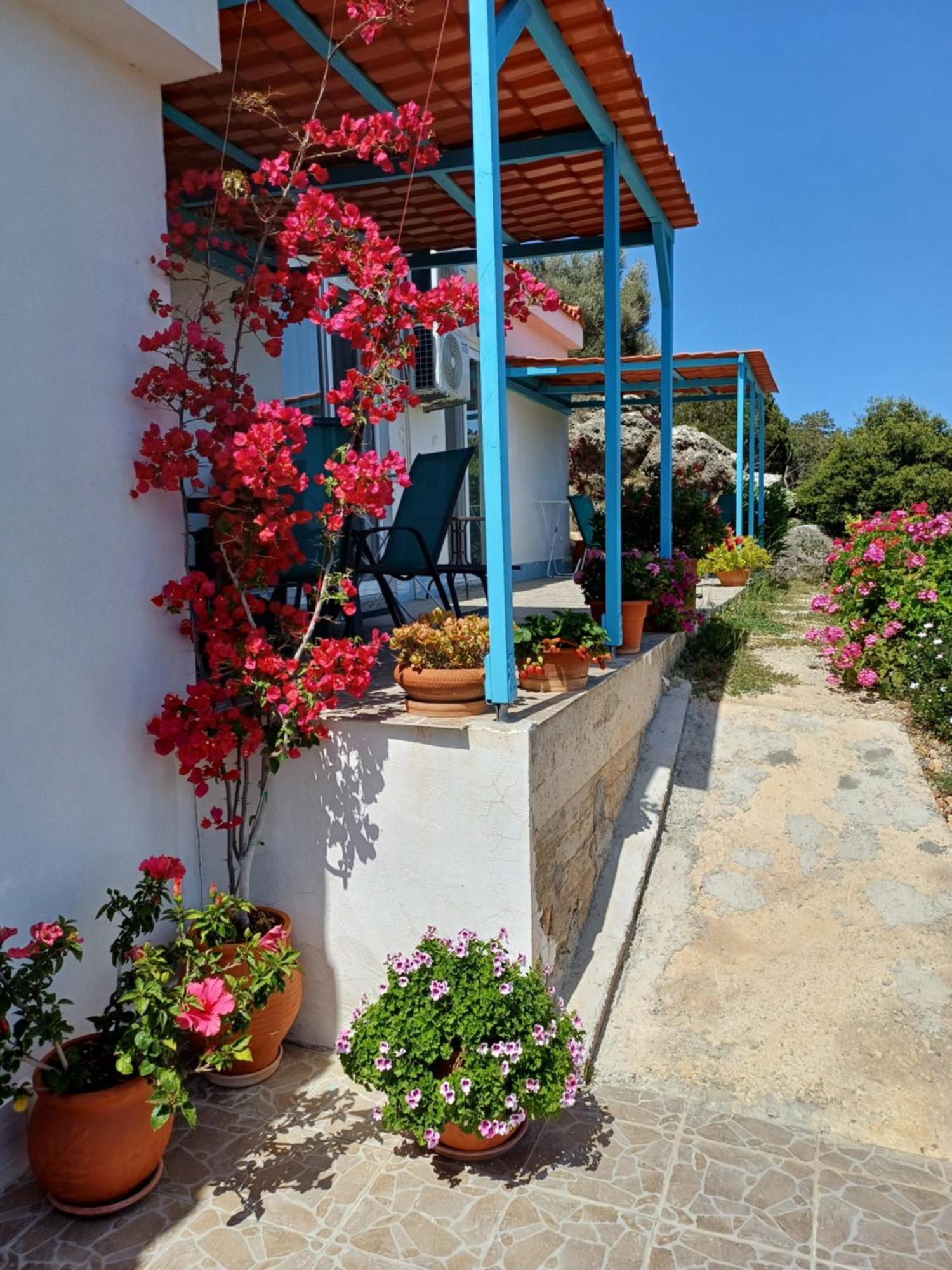 Hari Apartments Vathi, Agios Nikolaos Crete Vathí Exterior foto